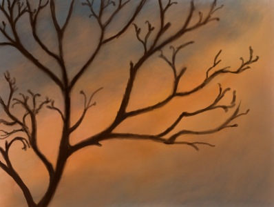 winter twilightsm.png