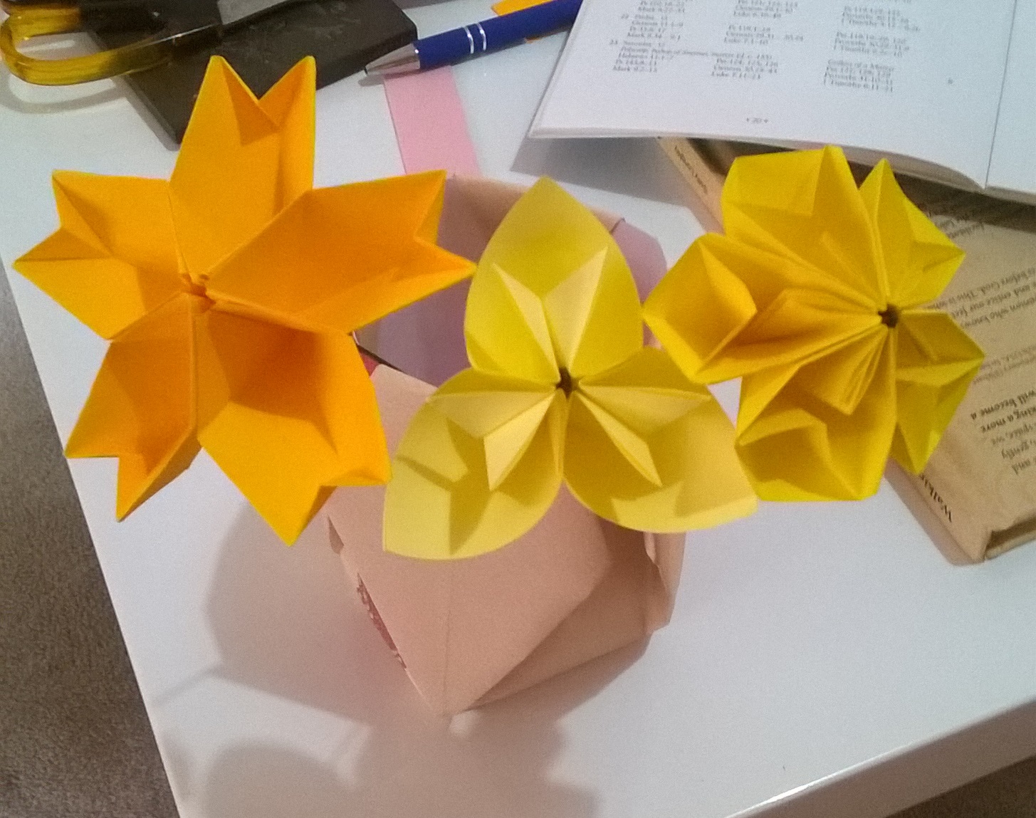 WP_20190204_001.jpg