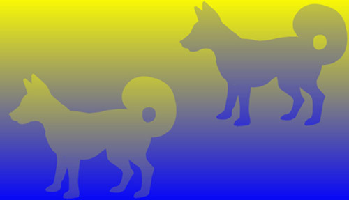 yellow-blue-dogs.jpg