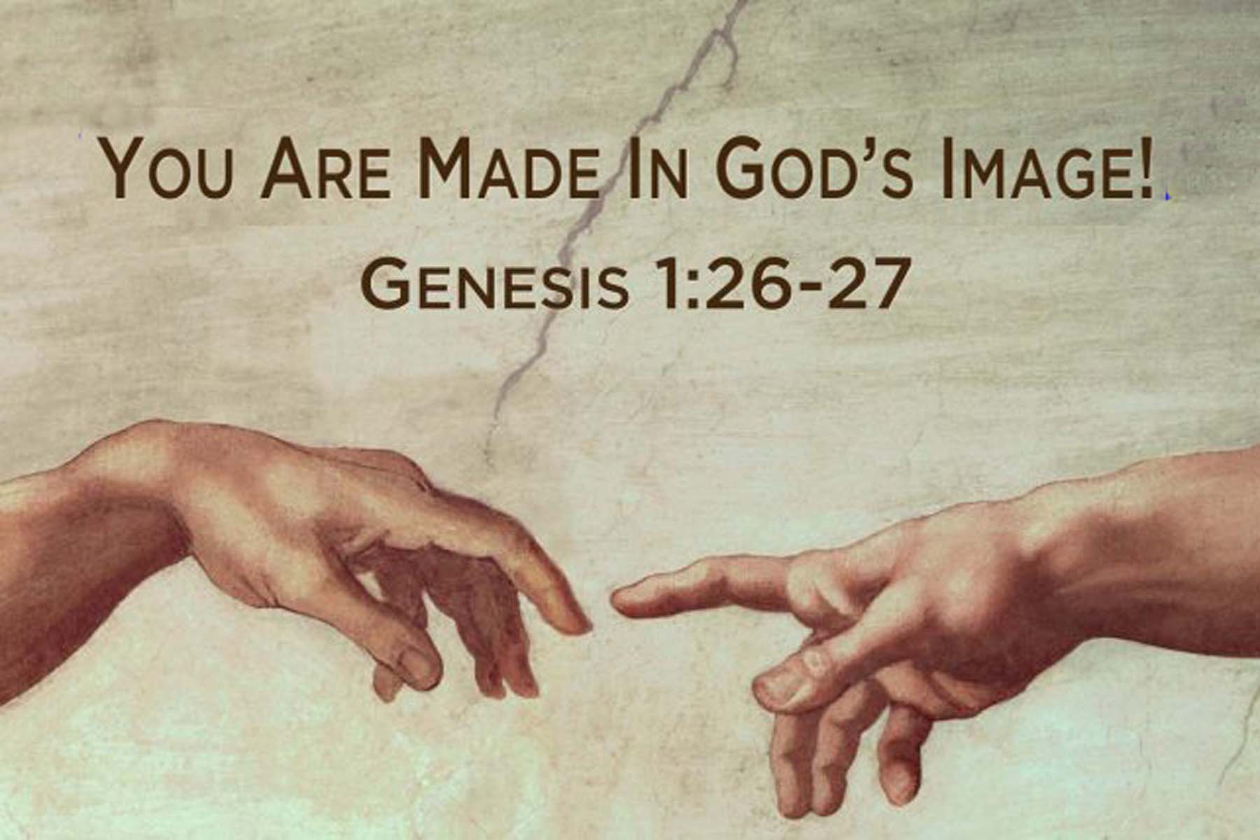 Let us make man in our image christian forums