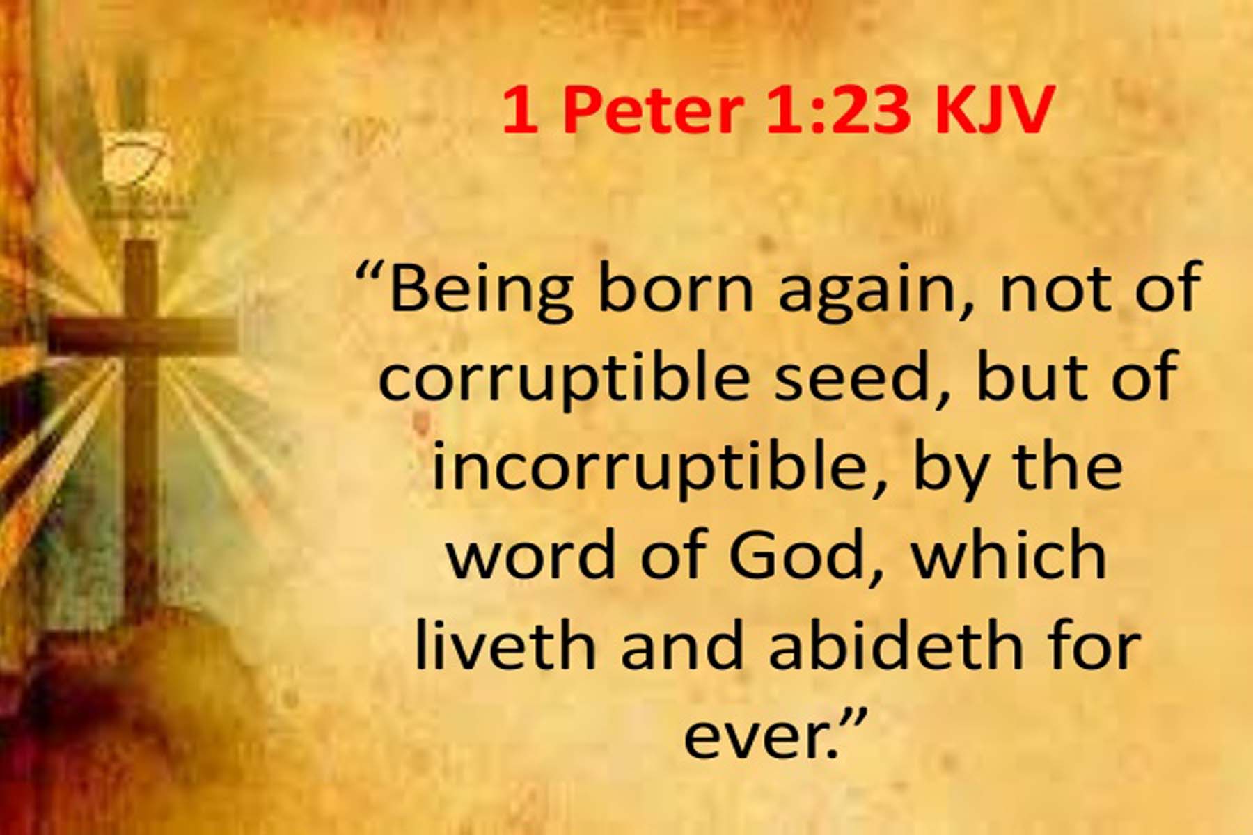 Image result for 1Peter 1:23