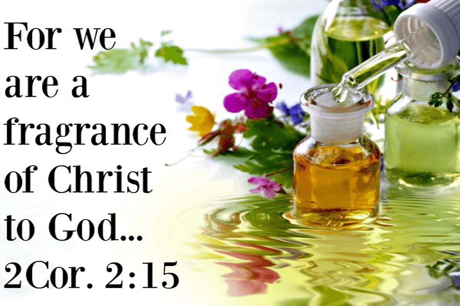 In Christ We Are The Aroma Of Christ | Christian Forums