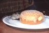 HOUSE_MICE_EATING_DOHNUT.jpg