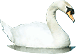 swan.gif
