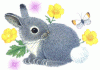 bunny%20animated%20racc.gif