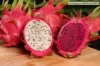 Dragon-fruit-3.jpg