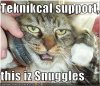 technical-support-cat.jpg