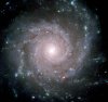 Spiral Galaxy.jpg
