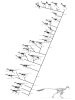 dino_bird_cladogram-2.jpg