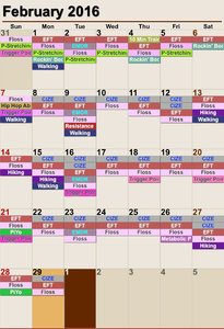 Workout Calendar 2 - Feb'16.jpg