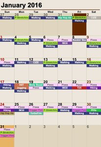 Workout Calendar 1 - Jan'16.jpg
