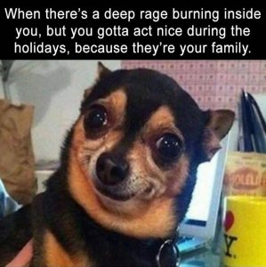 Dog - Hate Relatives.jpg