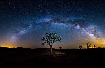 joshua-tree-milky-way.jpg