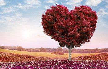 valentine-s-day-love-romance-red-tree-heart.jpg