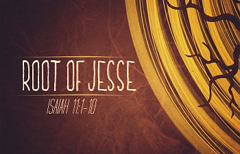 The Root Of Jesse