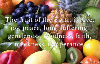 In Christ We Are Filled With The Fruit Of The Spirit