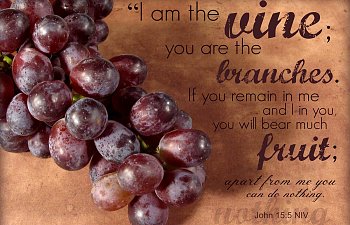 In Christ We Are Branches Of The True Vine