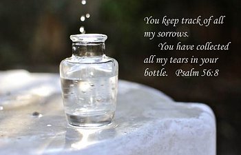 psalms 56.jpg