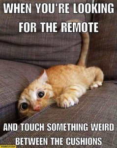 Humor Looking for Remote.jpg