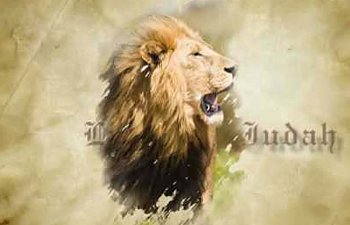 Lion Of Judah By Jason Upton v7.jpg