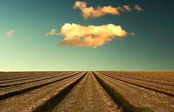 The Sower's Song By Andrew Peterson