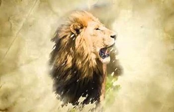 The Lion Of Judah By Jason Upton