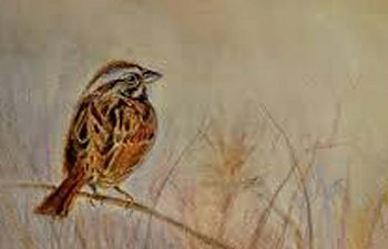 His Eye Is On The Sparrow By Her Heart Sings