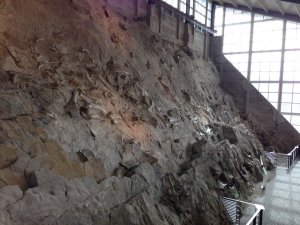 img_0520.jpg
