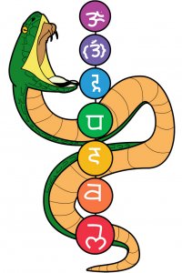 chakra-snake-pinterest-image.jpg