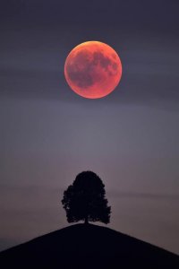 Eclipse-2019-end-of-the-world-January-Super-Blood-Moon-Bible-prophecy-1693366.jpg
