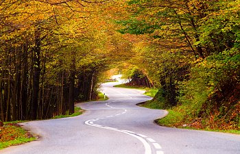 Meandering Road.jpg