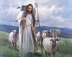 Christian Sheep Follow Their Shepherd.jpg