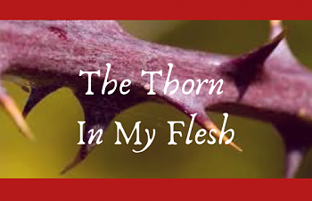 The Thorn In My Flesh.