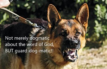 Dogmatic?