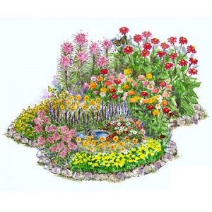 butterfly_garden_bhg.jpg