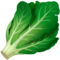 leafy-green_1f96c.png