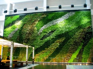 green-wall-03.jpg