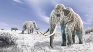 can-scientists-clone-a-woolly-mammoth-should-theys-featured-photo.jpg