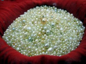 xnatural-arabian-gulf-pearls.jpg.pagespeed.ic.o2ReOy8TW3.jpg