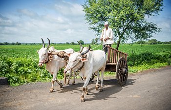 What Jesus Teaches About His Yoke Being Light