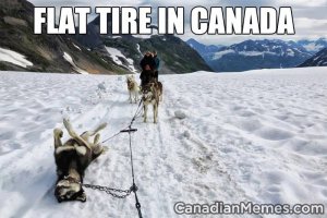 Funny-Canada-Meme-12.jpg