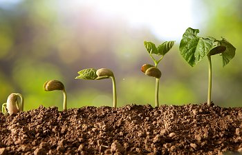 What Jesus Teaches About Growing Seeds