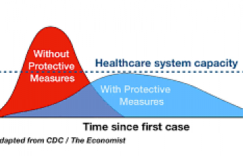 Why Flattening The Curve Is A Flawed Concept And Why You Should Be Patient In Sheltering In Place.