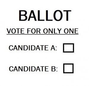 VOTER BALLOT.jpg