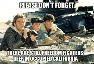 freedom fighters.png