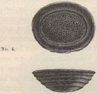 1844_VolcanicIslands_F272_fig06.jpg