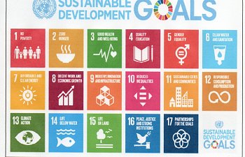 Steps To The Mark. Step 5. The Sustainable Development Goals.