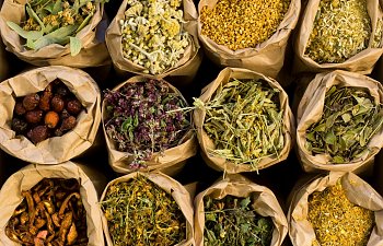 Herbs & Natural Remedies