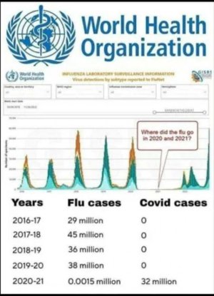 Covid cured the flu.jpg