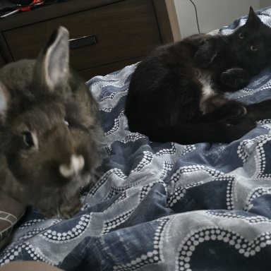 Anyone have good arguments against Calvinism.